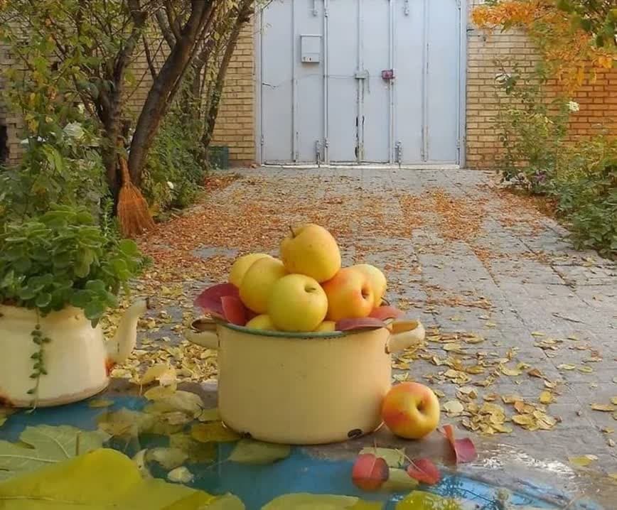 شبکه مسائل انسان 2